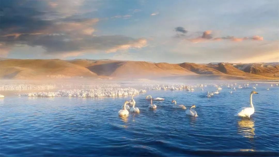 走阿坝进藏路线,走甘孜阿坝4天时间旅游攻略