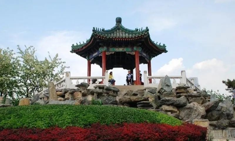 失踪78年的北京人头盖骨就藏在日坛树林里？