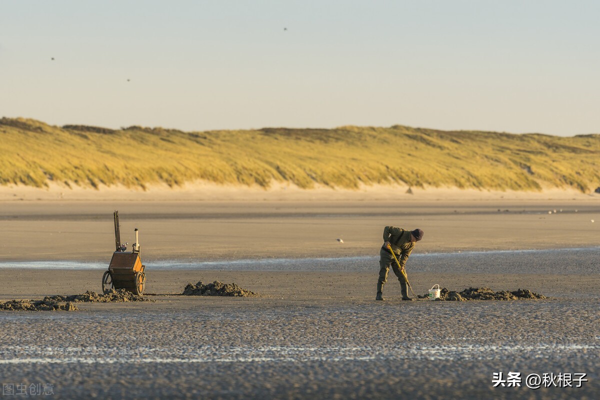 锦州沿海曾经有过一种贝类——“蚩”