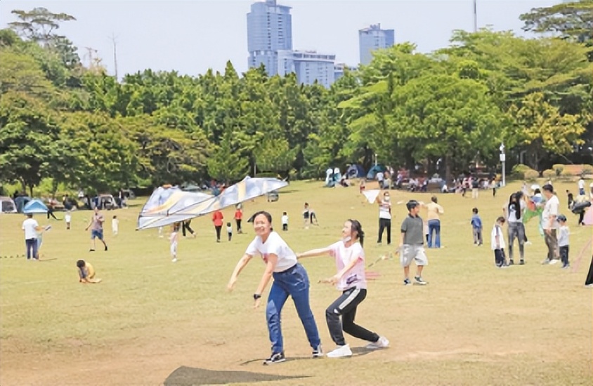鑺卞紡娣辫共鎸戞垬,鎸戞垬鑺卞紡娣辫共