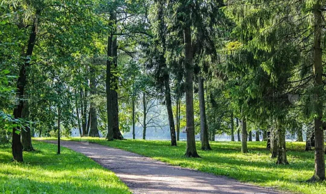 怎样才能赚到很多钱,走路怎样才能赚到钱
