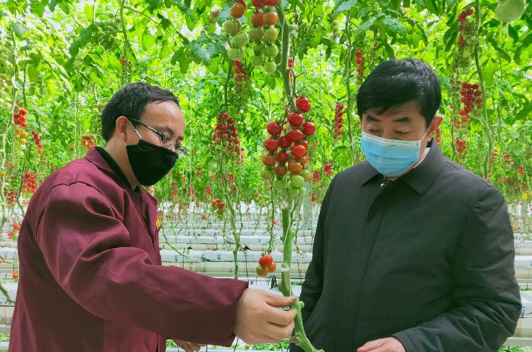 2023年农村创业趋势,农村创业新趋势