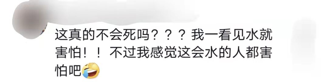 金世佳是不是演了爱情公寓陆展博,爱情公寓陆展博金世佳花絮