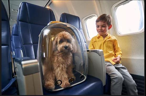 印尼航空旅行规定,亚洲航空飞印尼行李限制