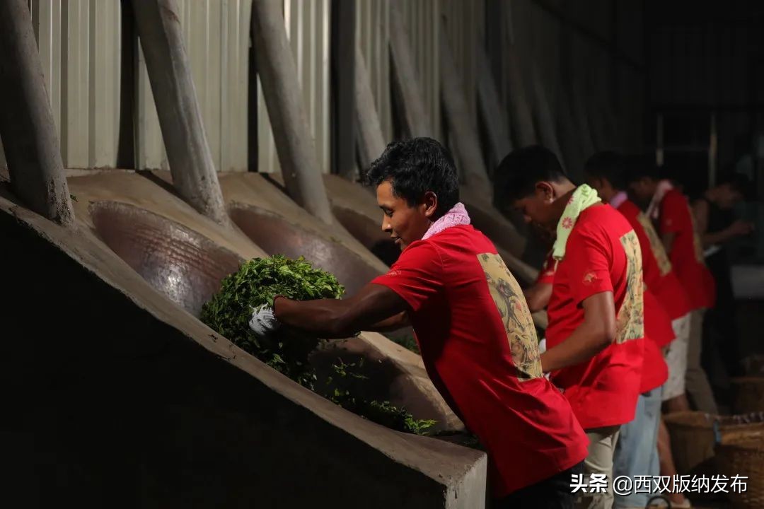 民族团结创建示范典型亮点,共享民族团结进步示范创建成果