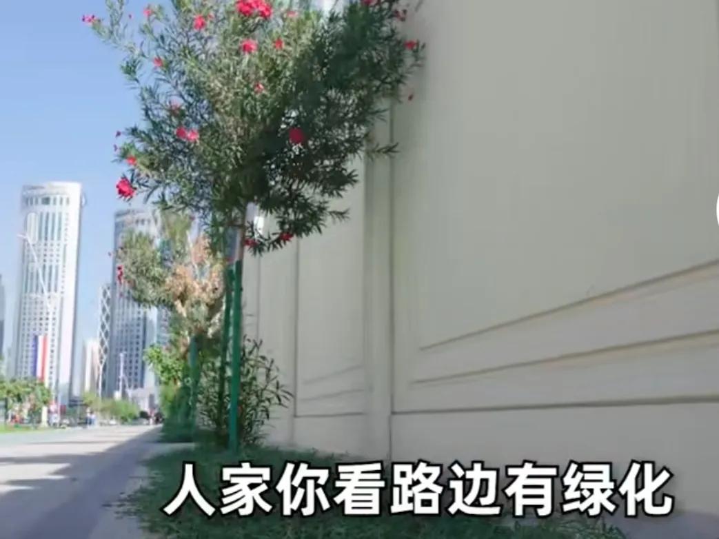 壕无人性的壕,壕无人性的中东土豪