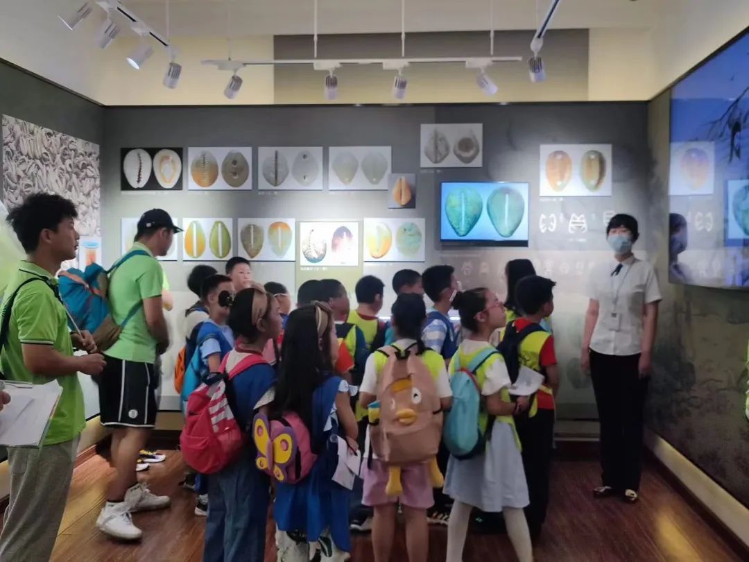 玩美假期旅游纯玩,玩美假期纯玩精品游