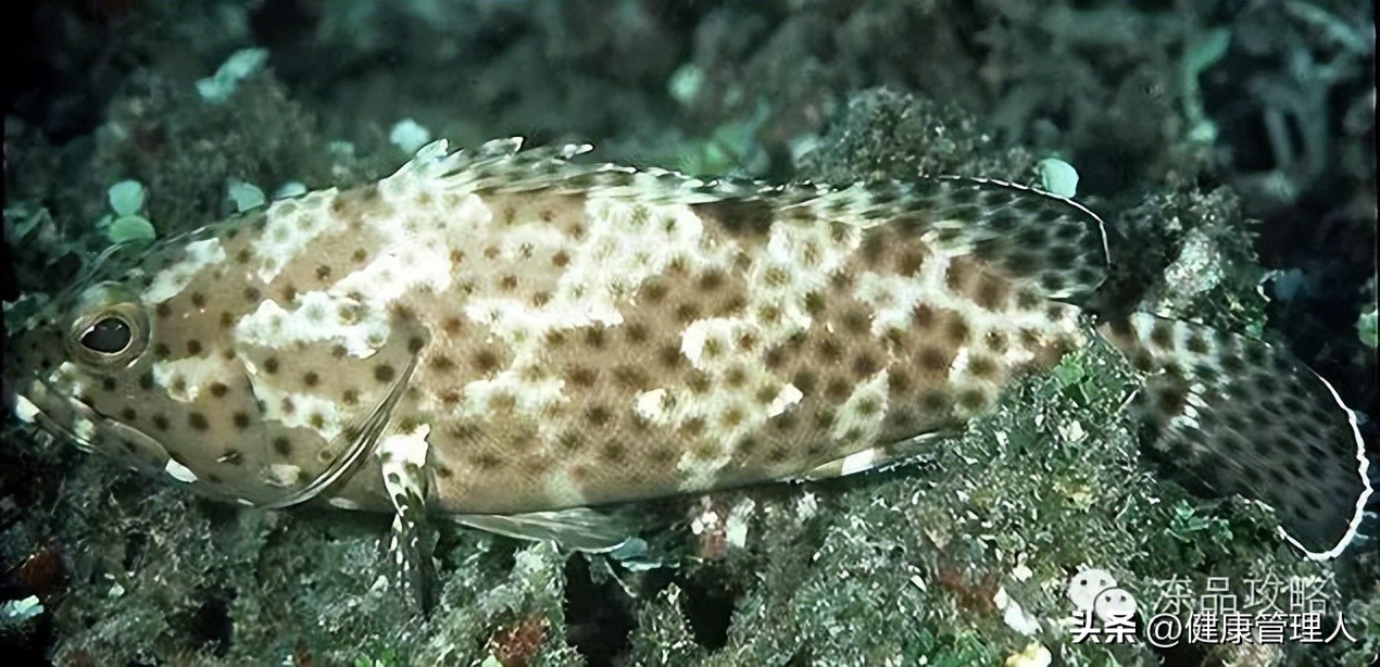 美容护肤食疗方案,美容护肤养生介绍