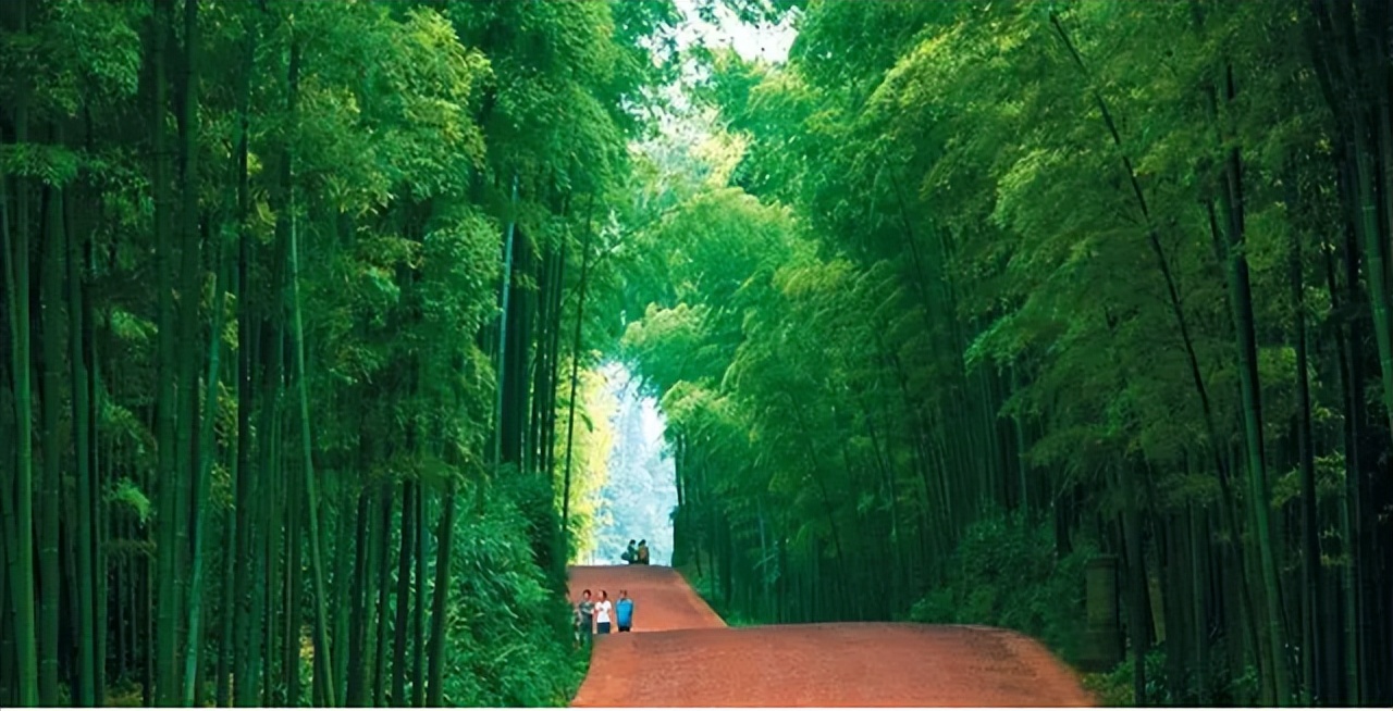 浙江省最宜居和养老的县城,浙江最宜居的五个县