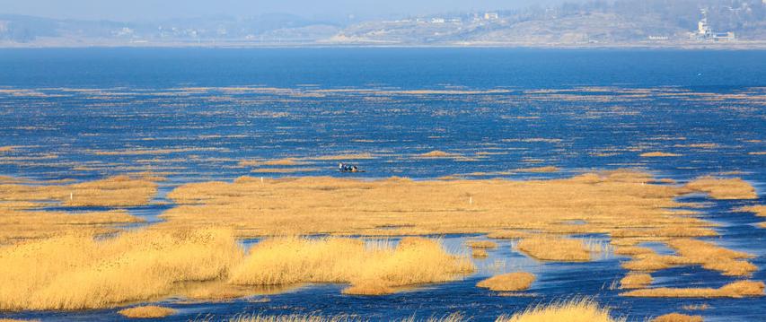 威宁高原明珠,威宁草海为何叫高原明珠