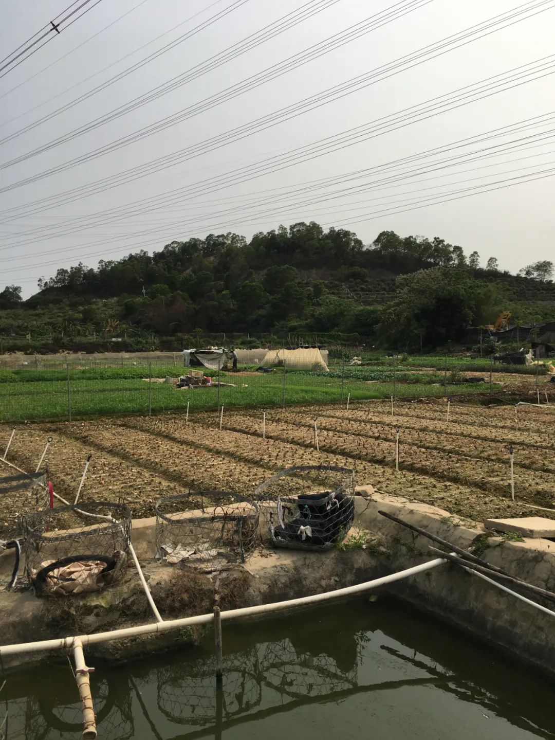 旭光车行雅迪电动车,旭光单车