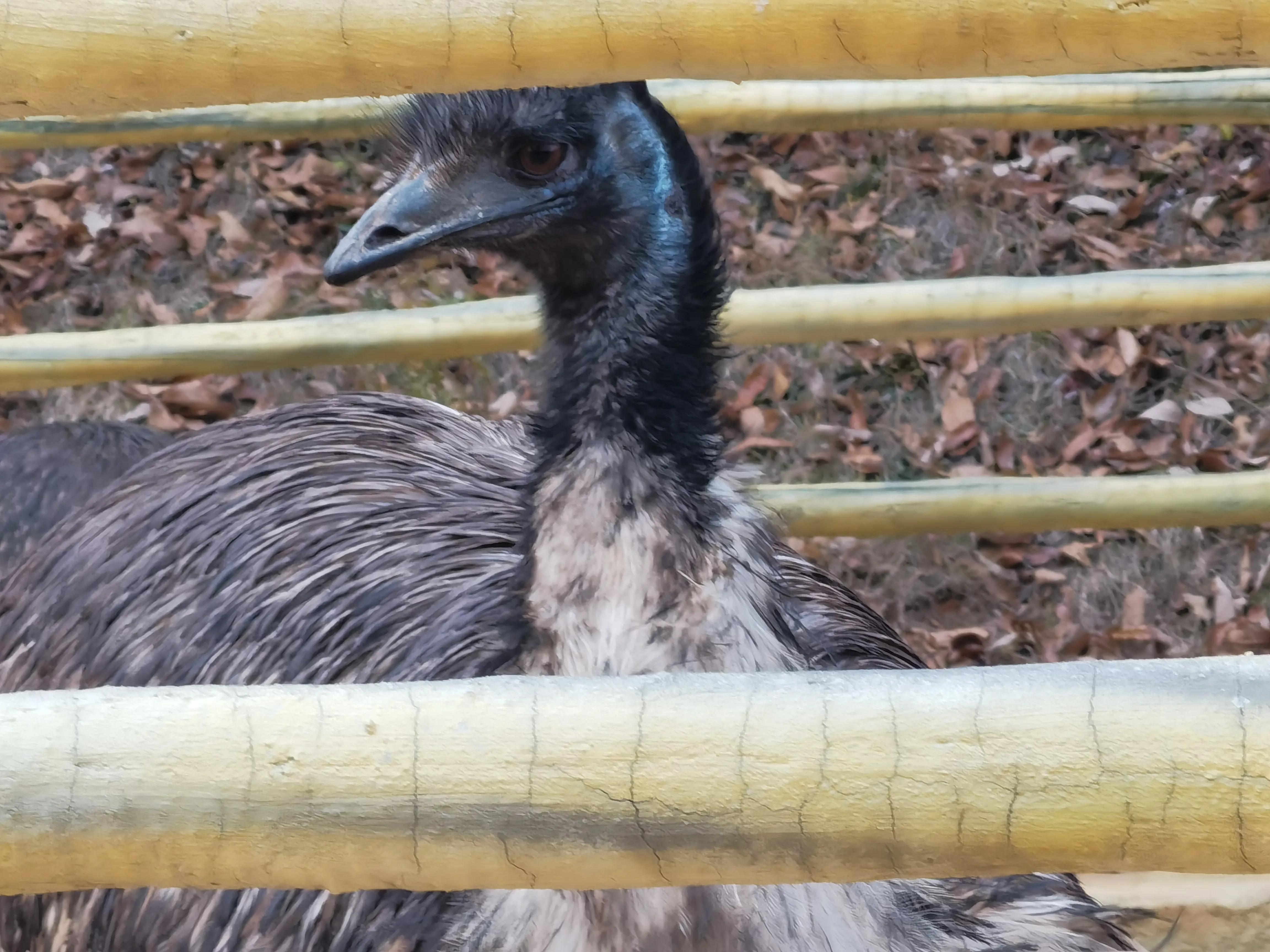 大洪山西游记公园攻略,大洪山西游记公园门票预订