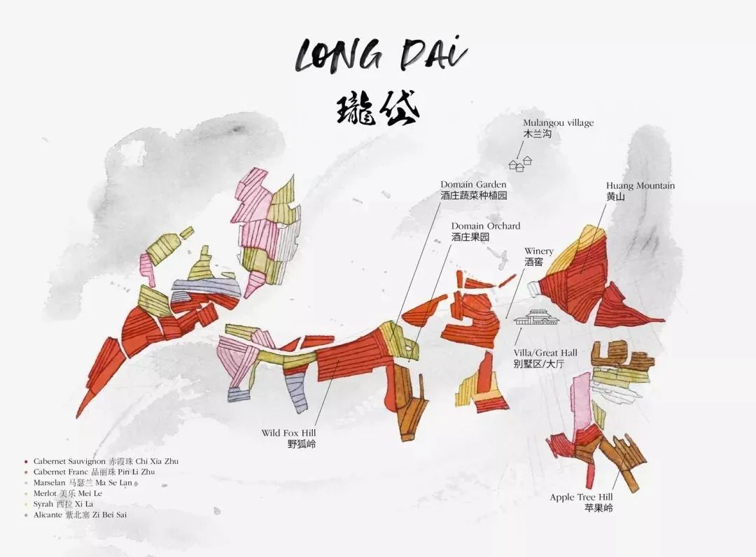 拉菲蓬莱珑岱酒庄正式开庄,拉菲蓬莱敦岱酒庄