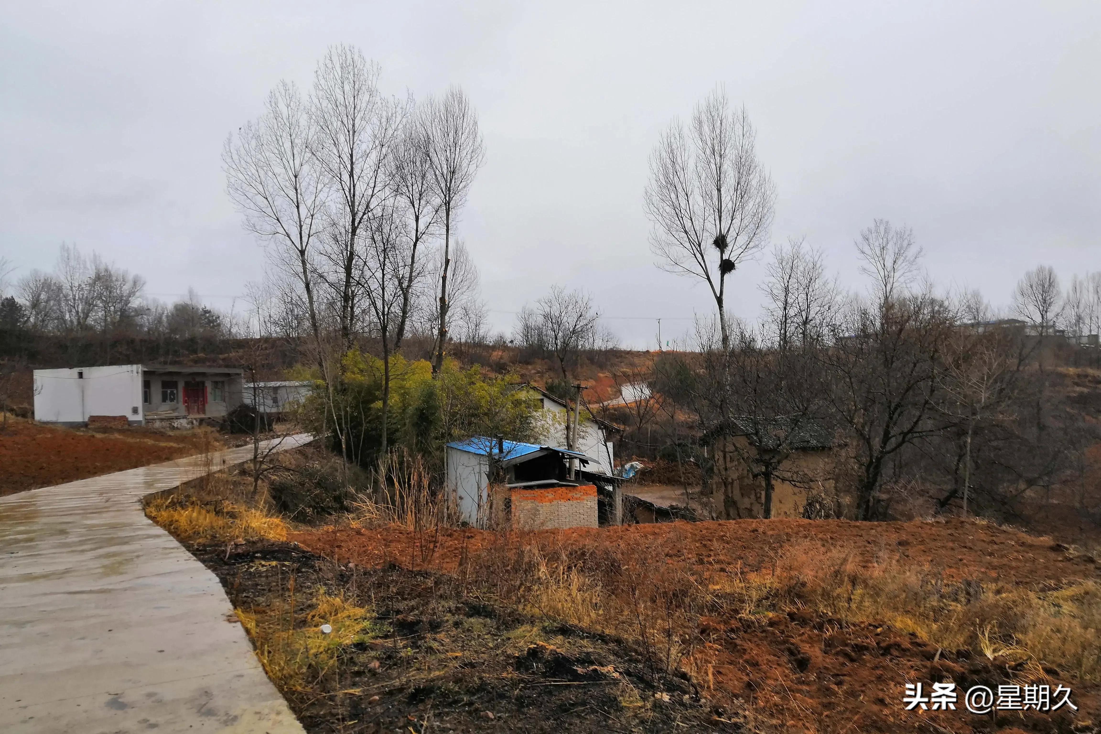 被朋友找做担保人该怎么办,无缘无故被朋友作为网贷担保人