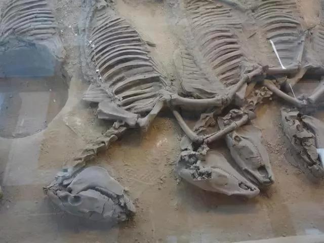 现实版九层妖塔无人敢挖开第三层,探秘历史九层妖塔全部大视频