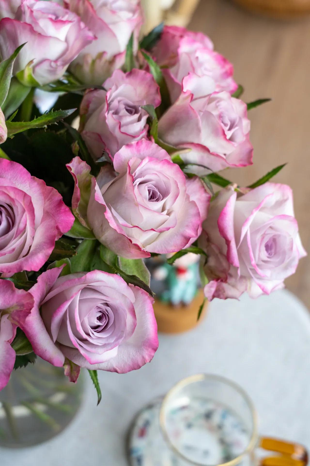 浪漫玫瑰爱情,爱情花朵红玫瑰