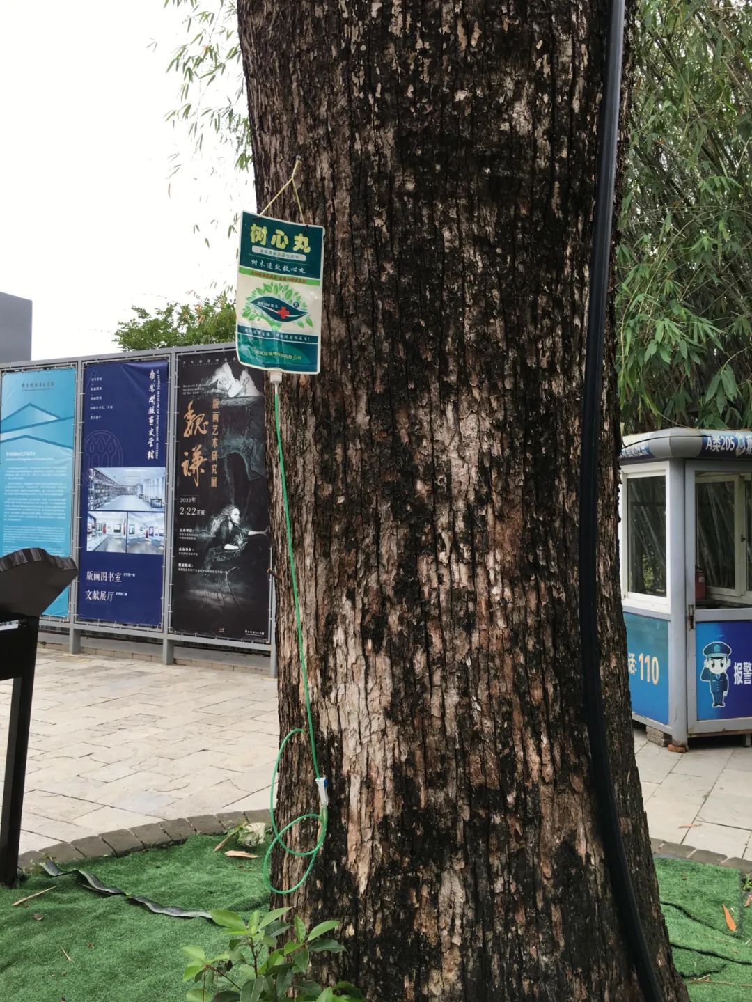 旭光电动车行,旭光车行向阳路