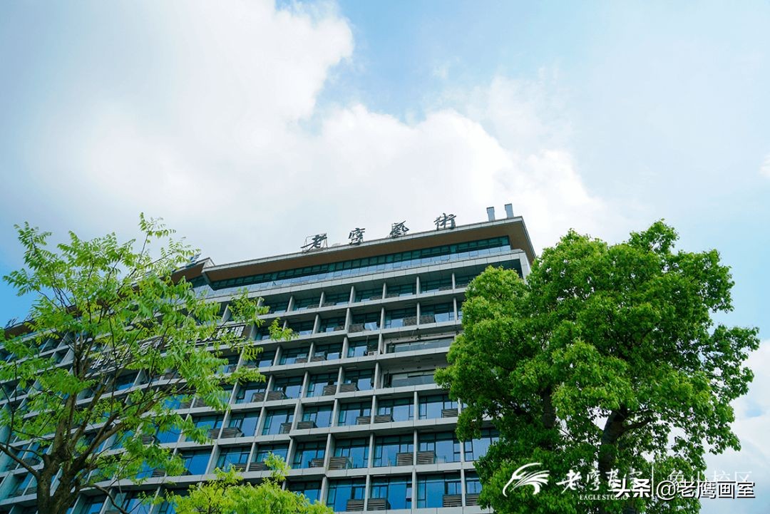 老鹰画室精品班和进阶班,成都老鹰画室和成都艺考画室