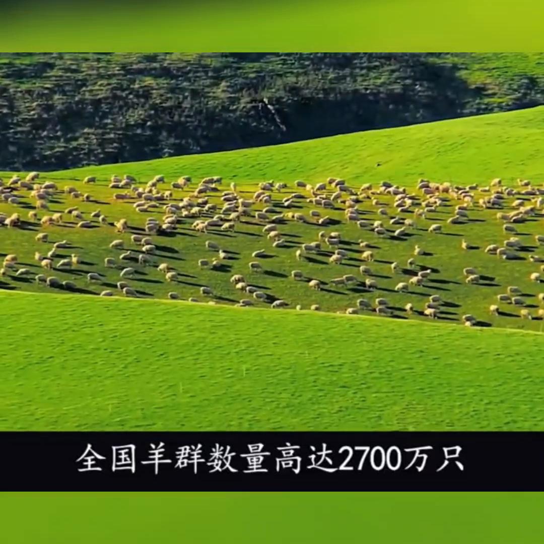 新西兰是一个什么样的国家,新西兰国家讲什么语言