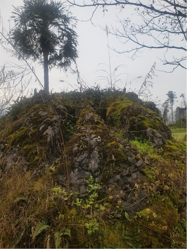 荥经云峰寺“飞来石”的搬运工是唐朝名将韦皋