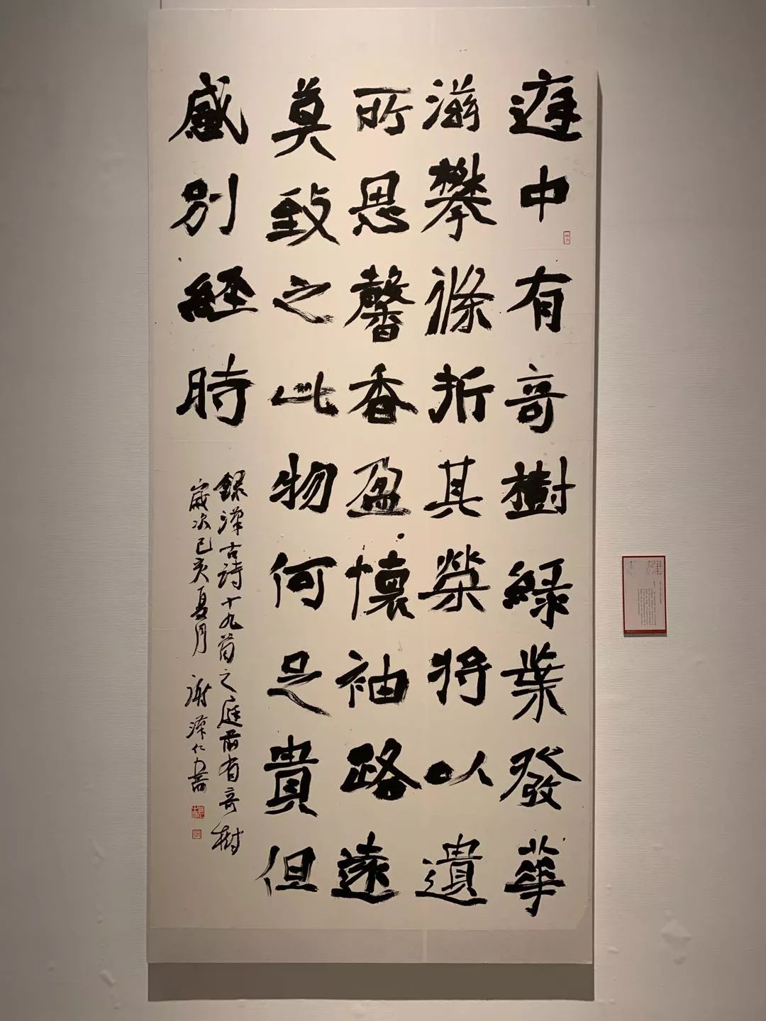 如何评价当今的书画界,怎么评价当代书法家