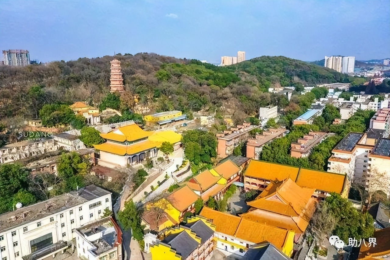 武汉必打卡的十大景点介绍,武汉南湖网红打卡景点