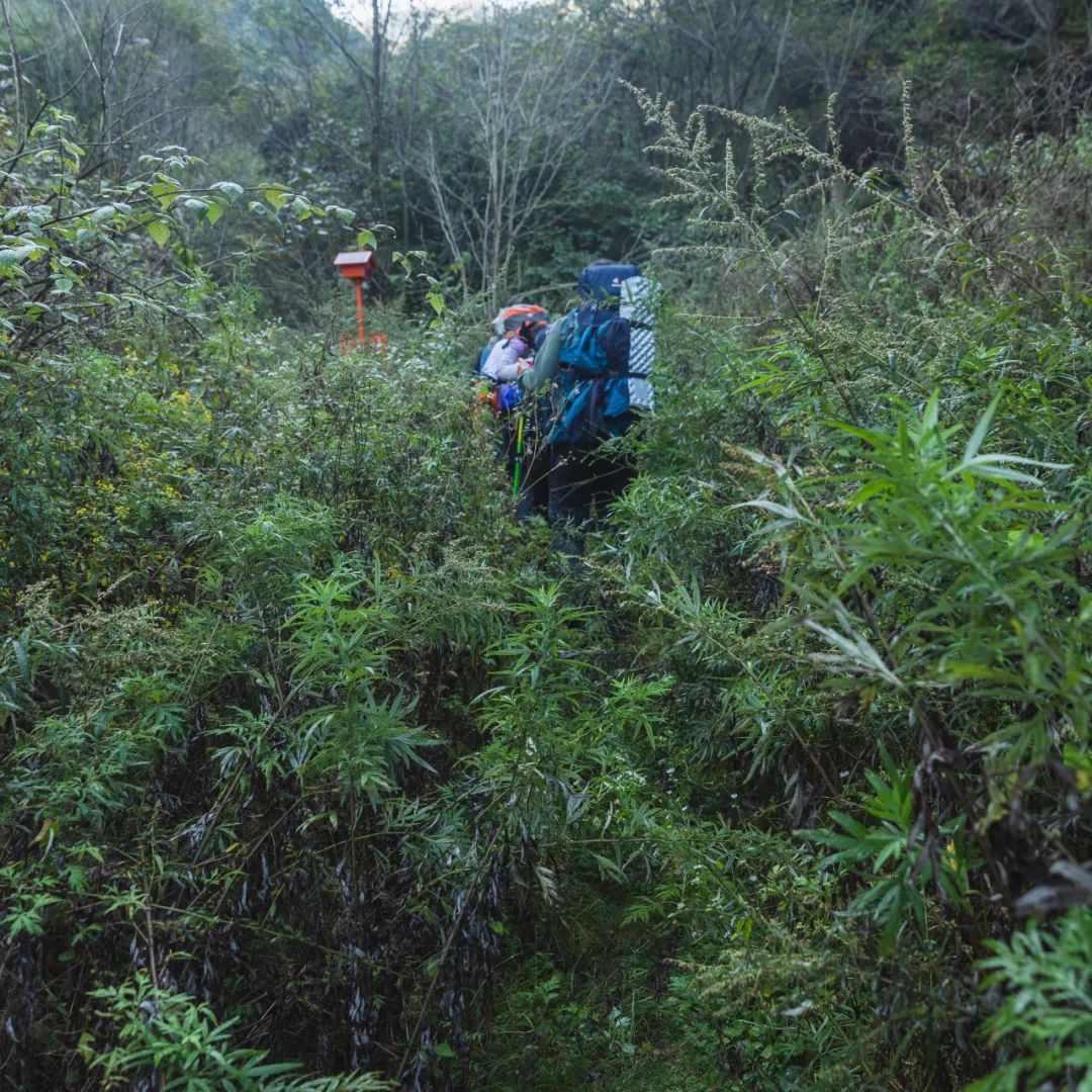 太白山是陕西最高点吗,秦岭最高峰太白山