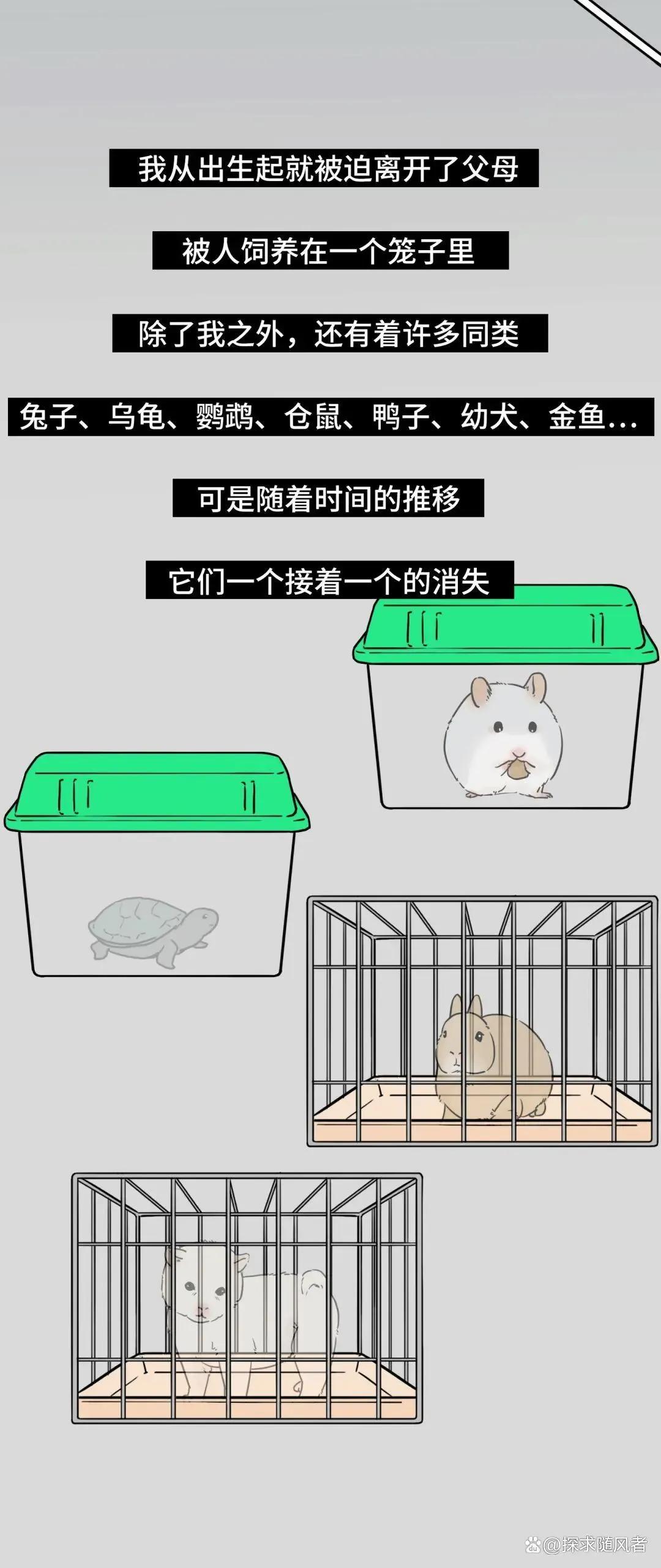 救救我我不想死日语,救救我漫画免费观看