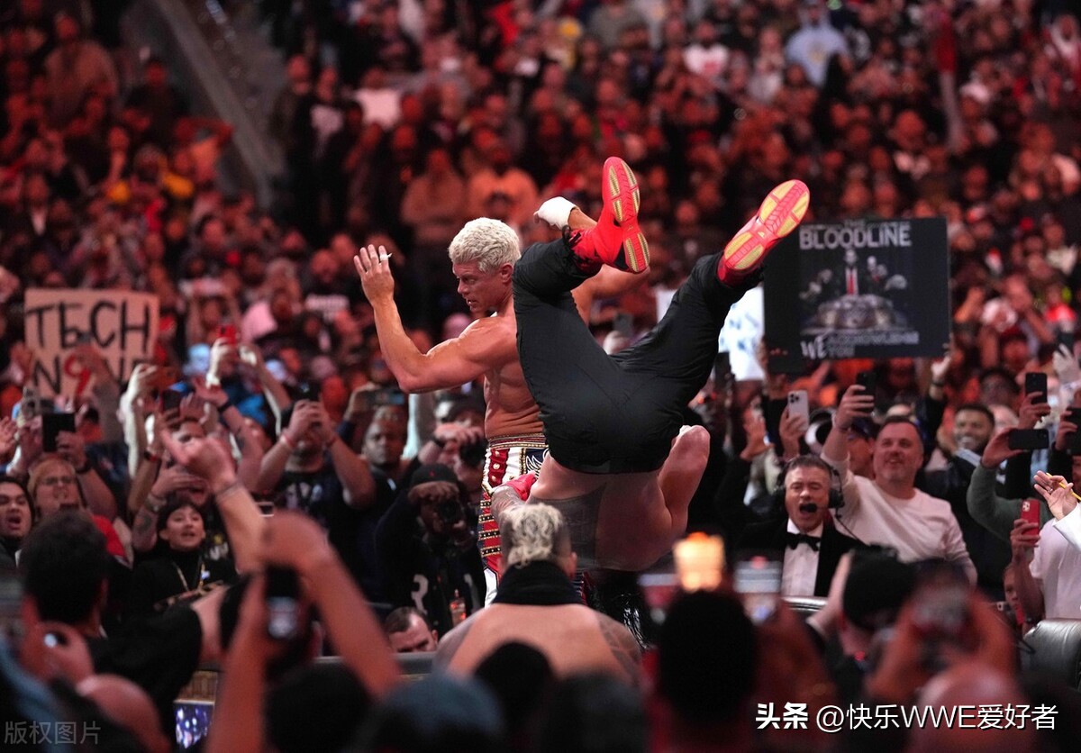 wwe最早是从什么年代开始的,wwe的起源