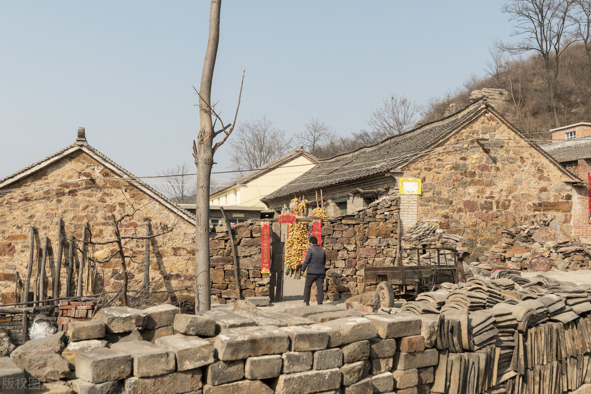 可爱的小狗一般卖多少块钱,小狗卖多少钱一只可爱不咬人