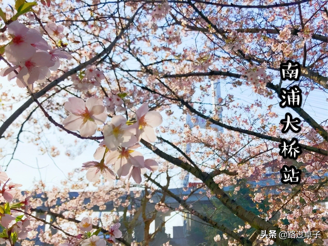 上海地铁旅游景点攻略,上海地铁打卡攻略