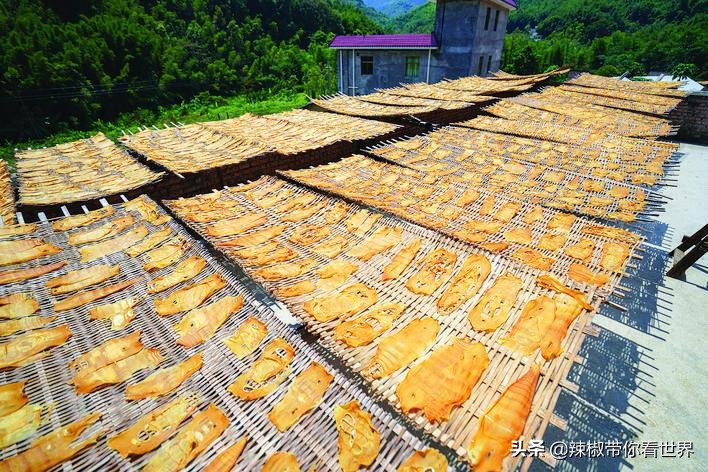 惠州市海岸线,惠州的海岸线