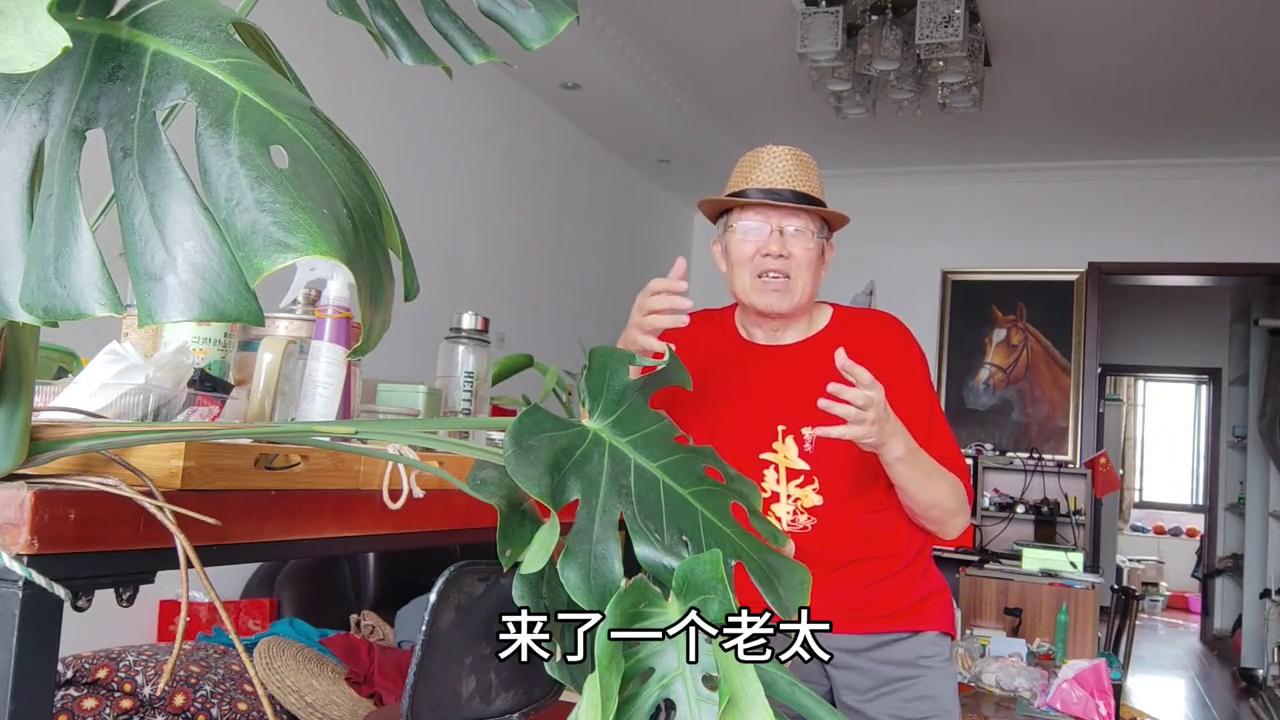 无锡武林张铁卵子的传奇，口述历史#民间绝技高手