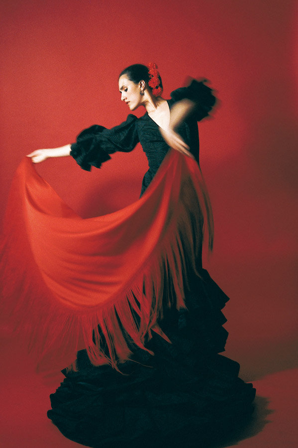 浼婅帋璐濆皵濂崇帇,浼婅帋璐濆皵缁村瘑