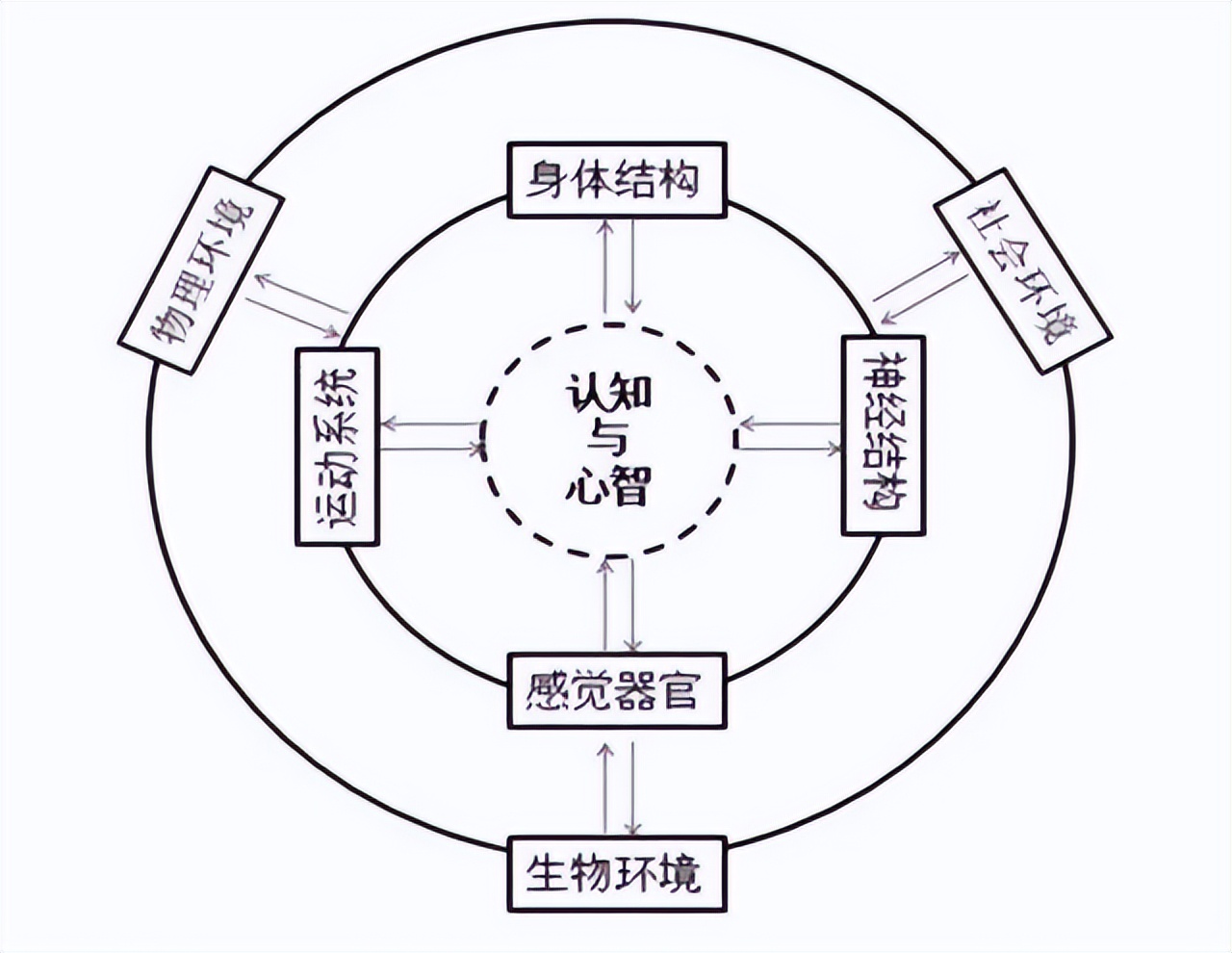 心理学家说如果你经常梦到一个人,心理学上说当你梦到一个人的时候