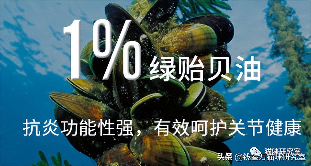 智利贻贝与新西兰青口贝,专门忽悠男人的智商税产品