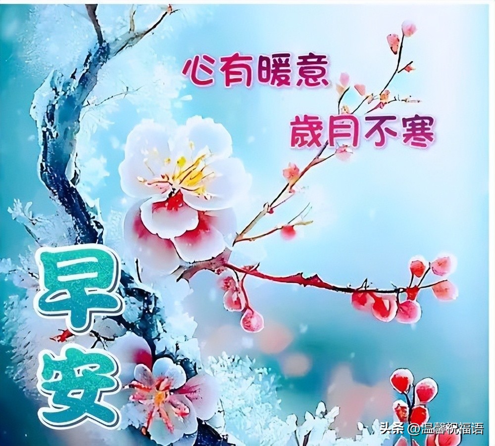 全网最温馨的早上好祝福图片带字,最新最美唯美早上好问候图片带字