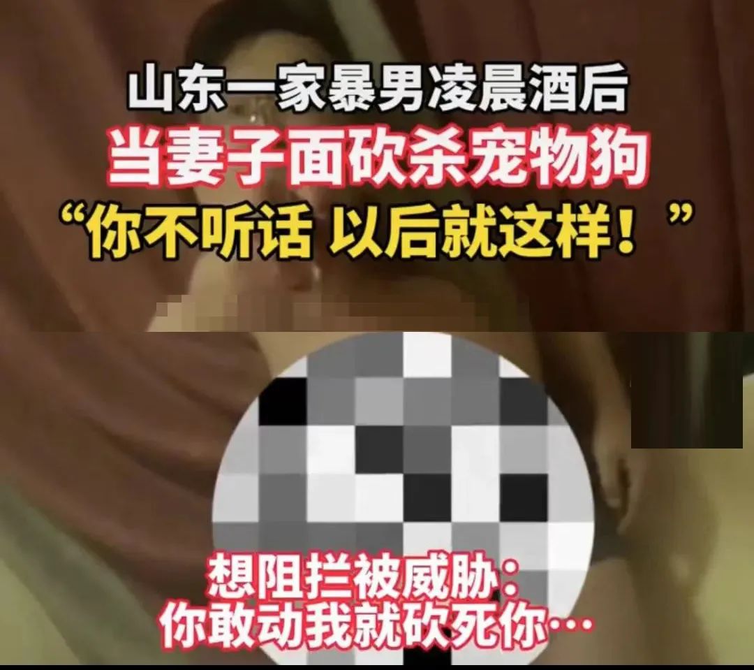 家暴男砍死柯基后续截图,家暴男砍死柯基后续