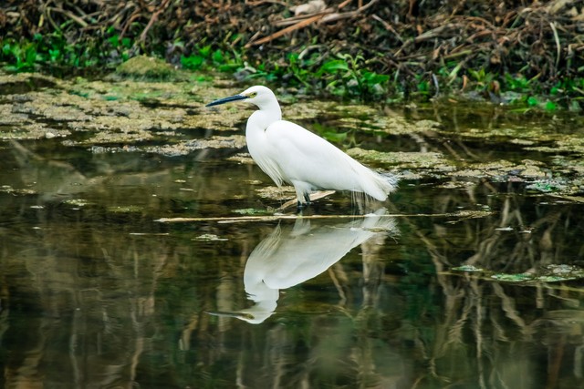 大兴野生动物园之旅,北京野生动物园和猛兽亲密接触
