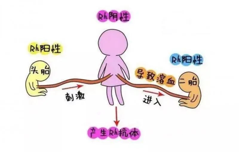 《狂飙》大结局，“熊猫血”或是导致强哥无后的罪魁祸首？