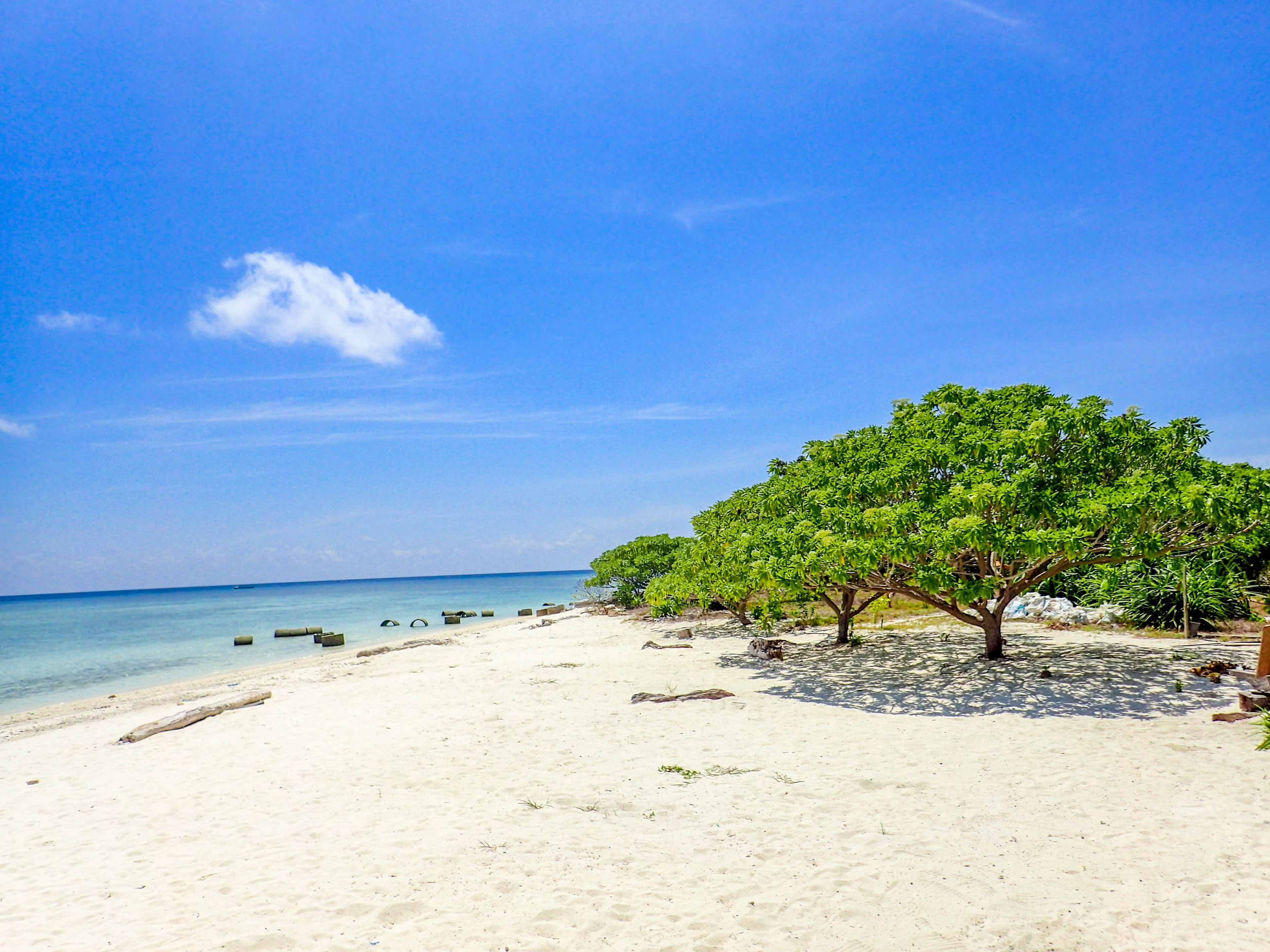 马来西亚仙本那海底,潜水马来西亚仙本那