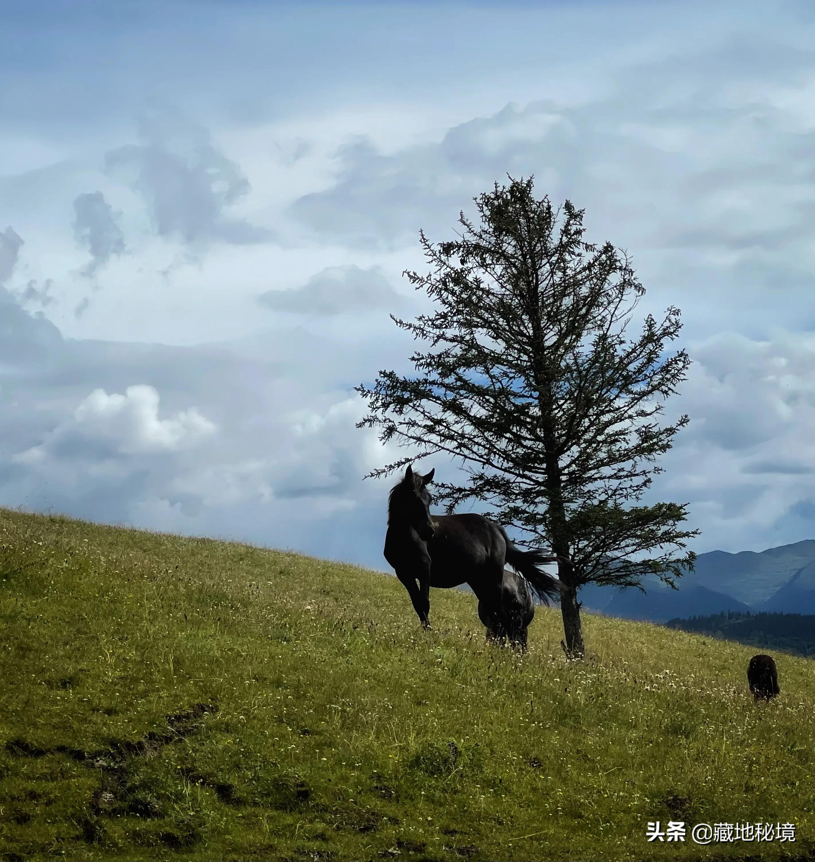 小说失踪假日,小说连载失踪的女人