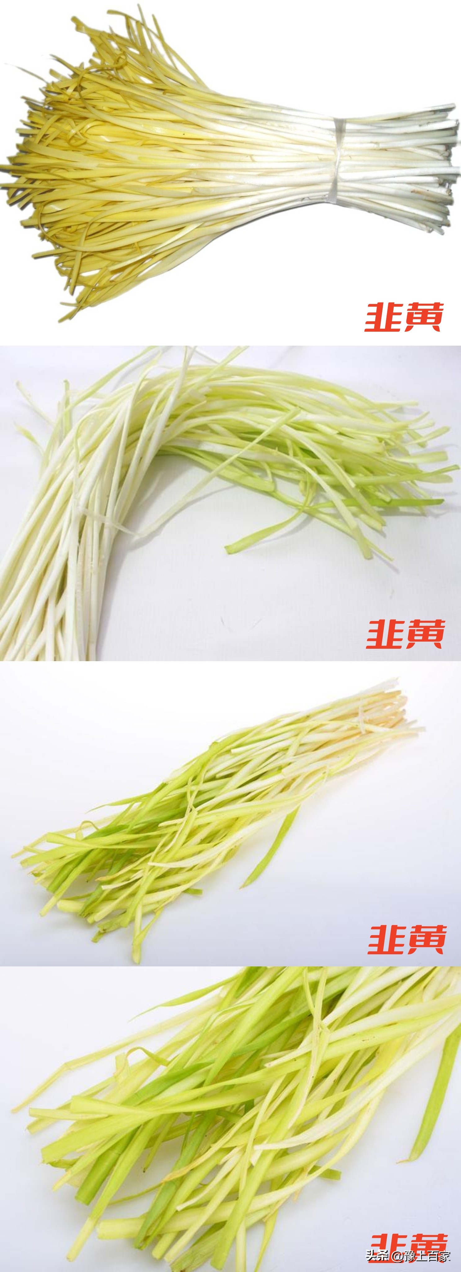 独头大蒜和普通大蒜的区别,脖子上套大蒜有什么科学依据吗