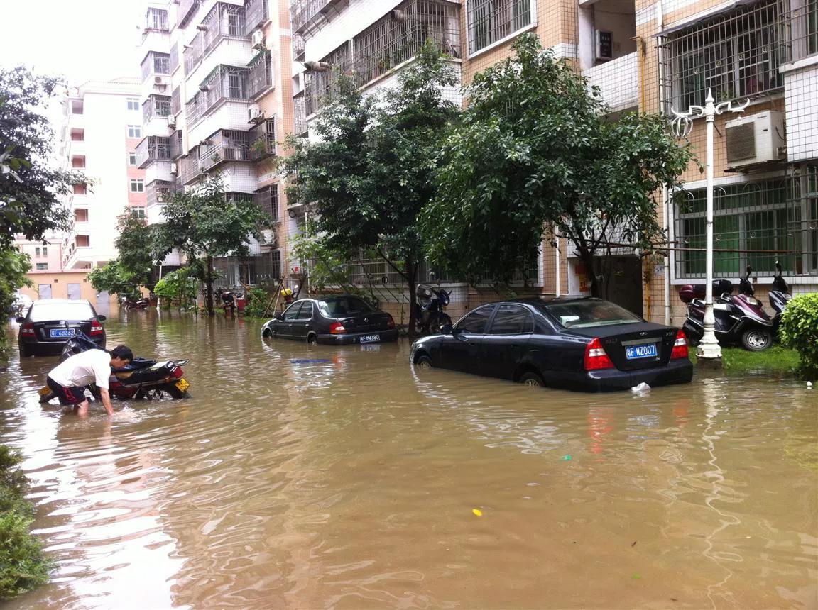 新塘发展以哪个板块为主,新塘未来5年的发展