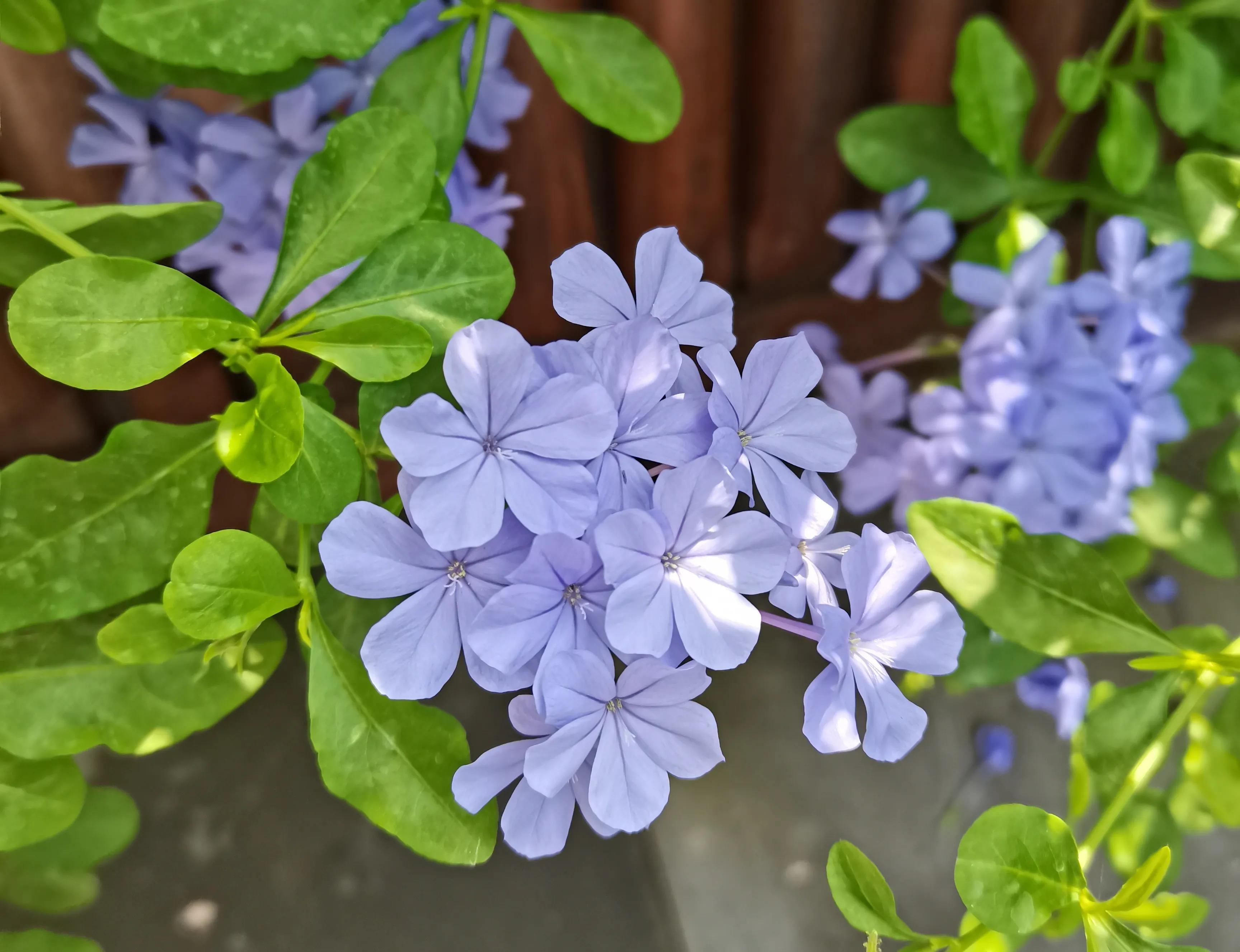 小普陀|苏溪的抉择是等待