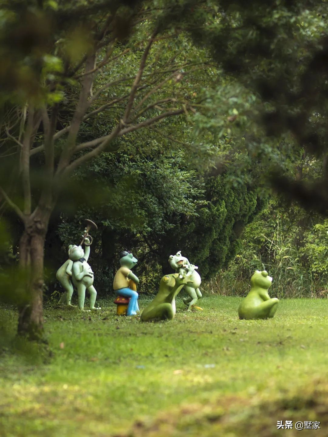 暑假出游苏州旅游攻略大全,暑假旅游苏州出发攻略最新