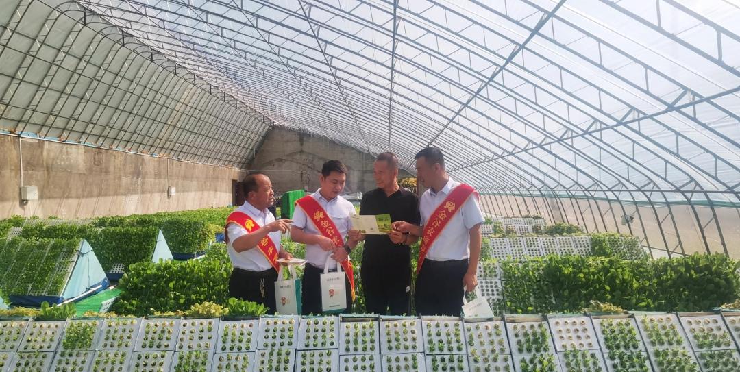 农商行农村金融创新,金谷农村商业银行