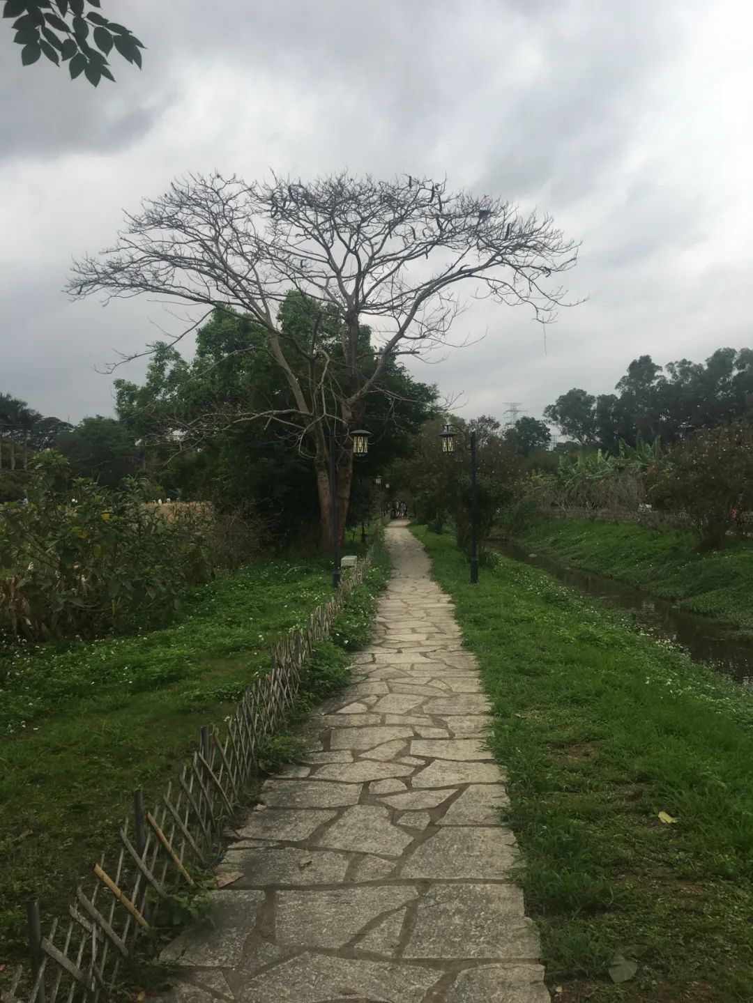 旭光电动车行,旭光车行向阳路