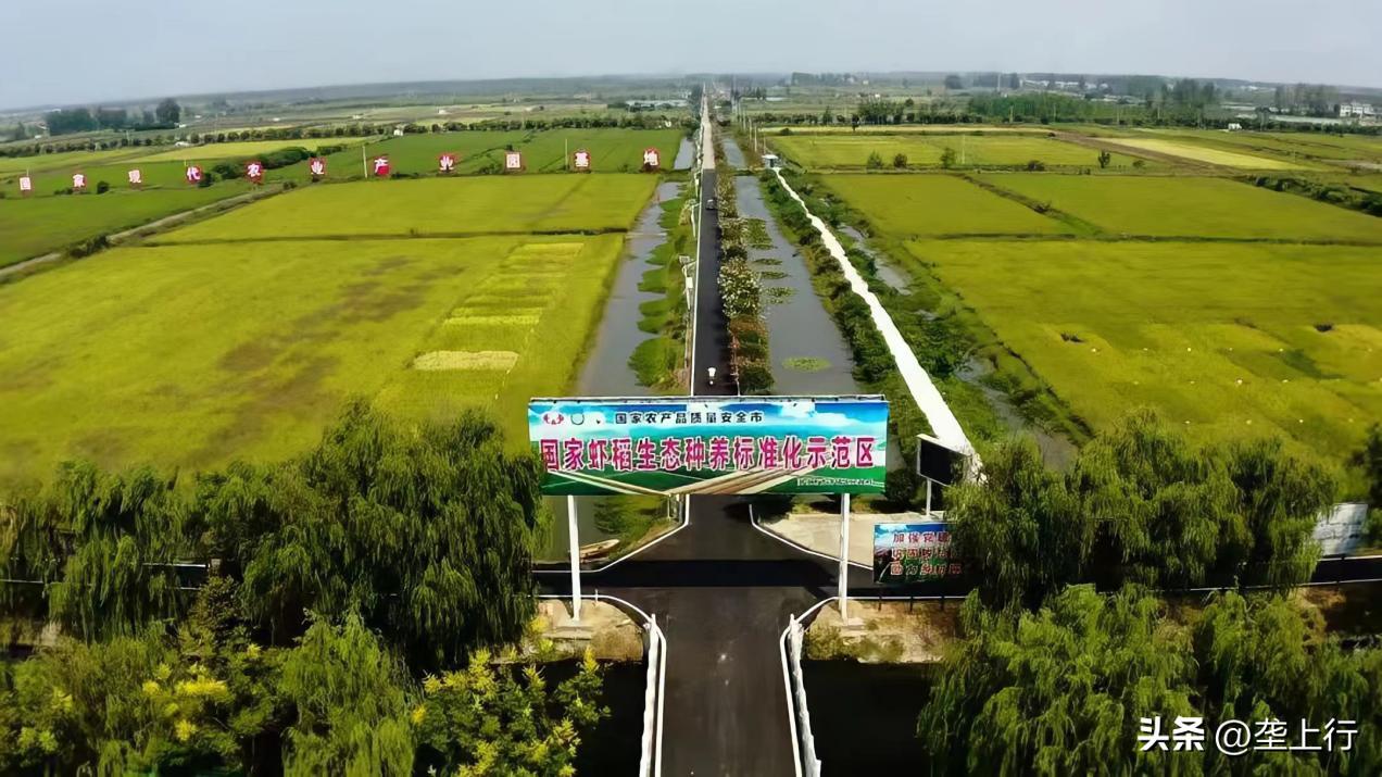 湖北省粮油集团名单,2019粮油销售额