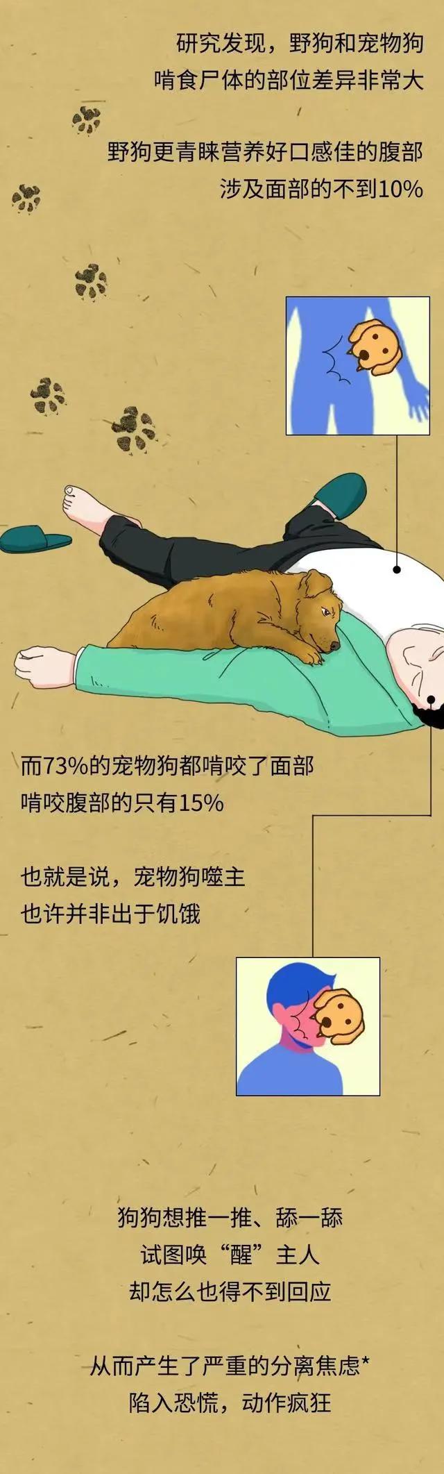 漫画：“铲屎官如果突然挂了，狗狗会等多久吃掉尸体？”网友神评